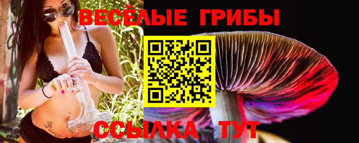 Галлюциногенные грибы мицелий  Вход с VPN  Тихорецк  Галлюциногенные грибы мицелий 
